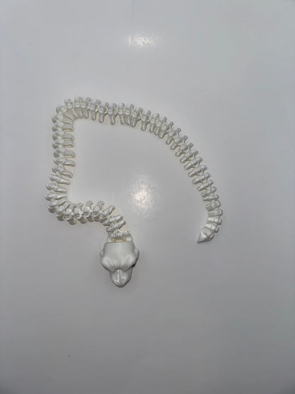 Skeleton Snake - Articulated