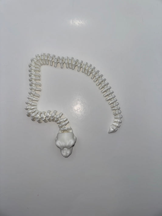 Skeleton Snake - Articulated
