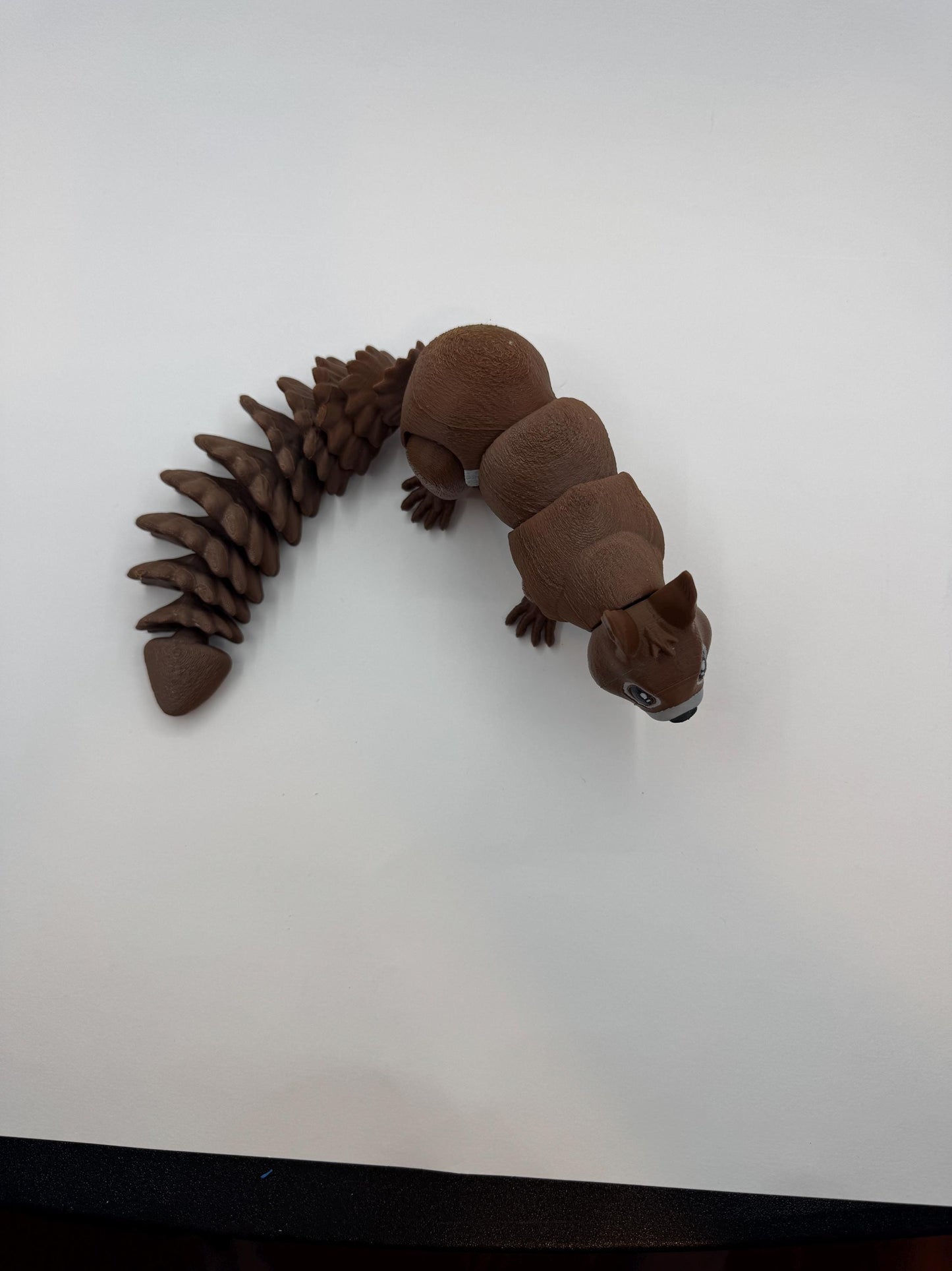 Adorable Articulated Squirrel