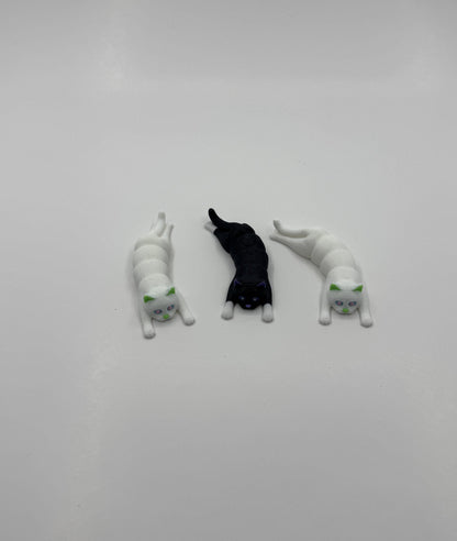 Flexi Kittens Black and White