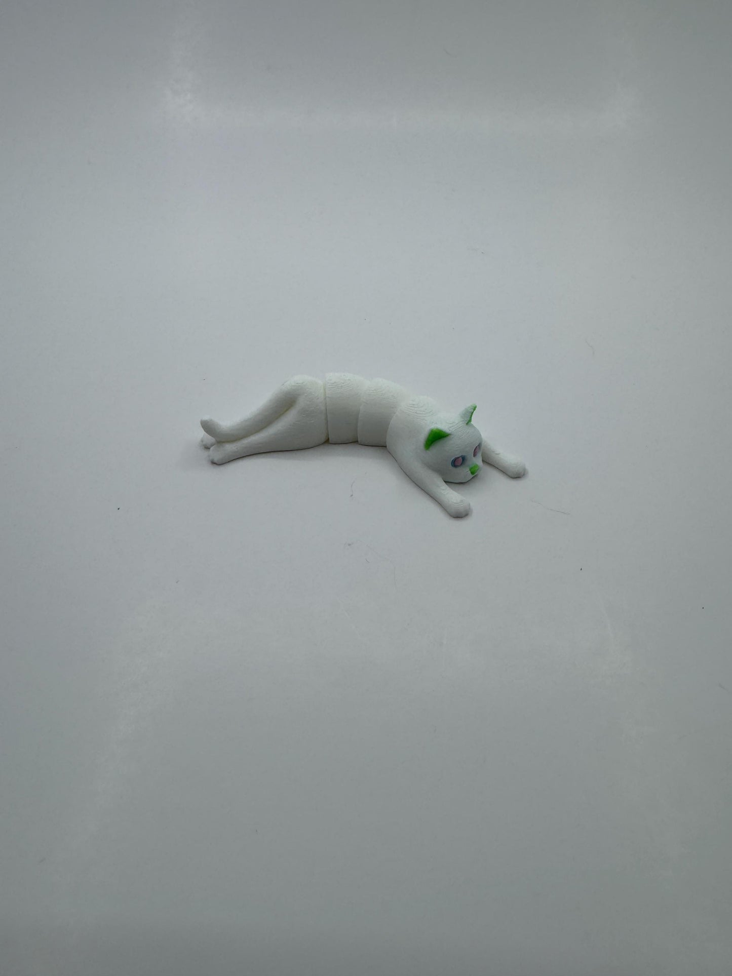 Flexi Kittens Black and White