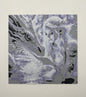 Fairy and Dragon Textured 3D Picture