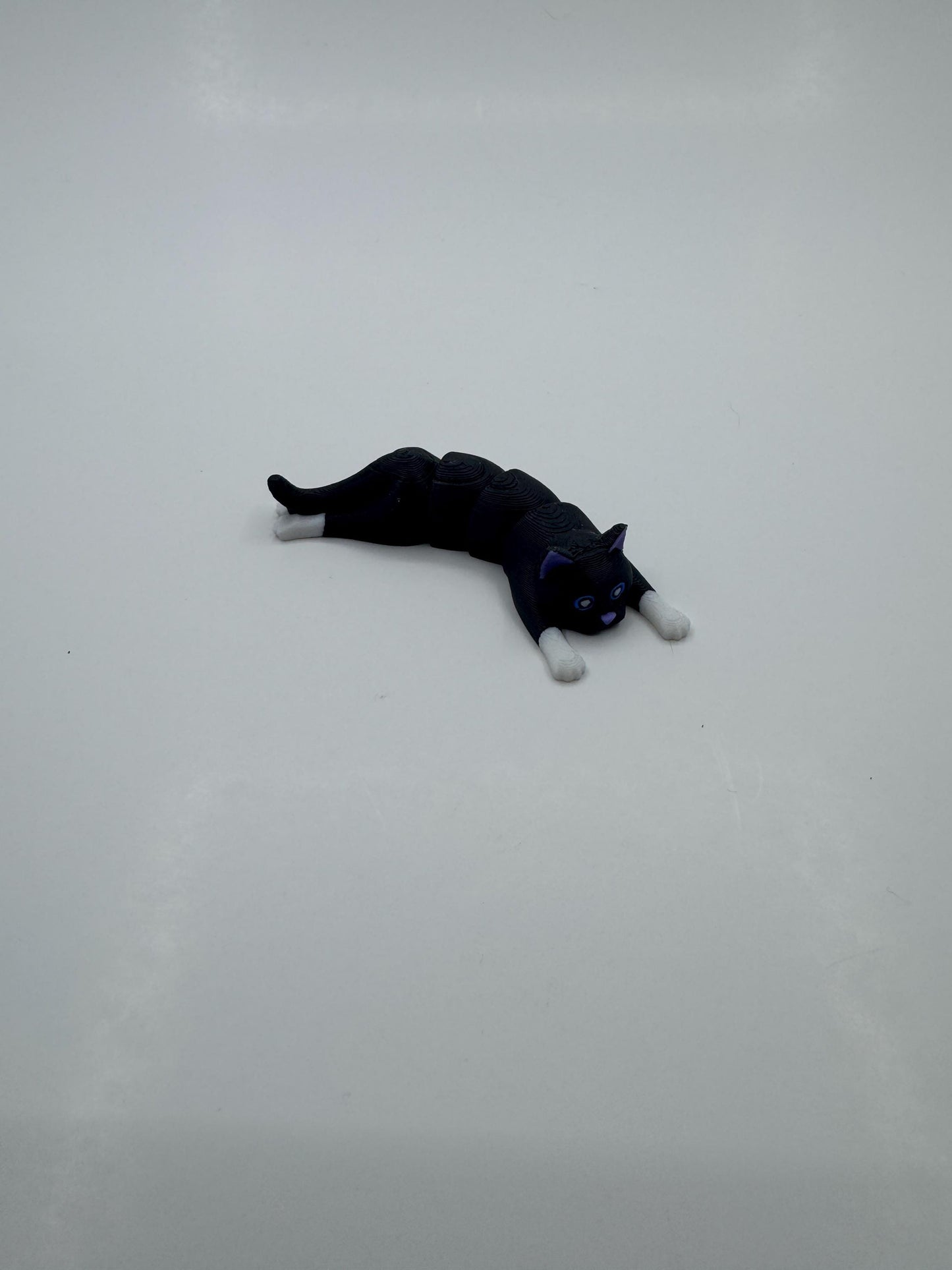 Flexi Kittens Black and White