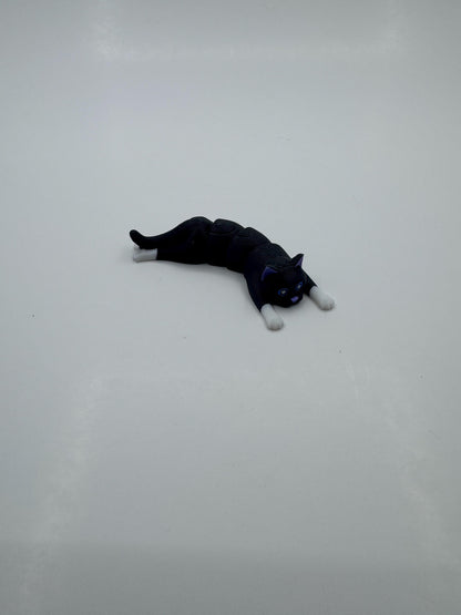 Flexi Kittens Black and White