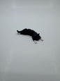 Flexi Kittens Black and White